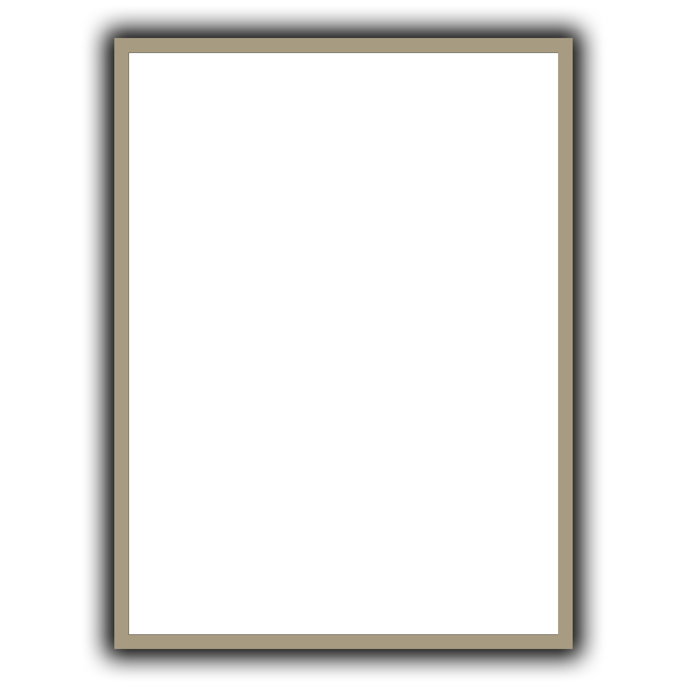01 cerceveli  POSTER SILVER